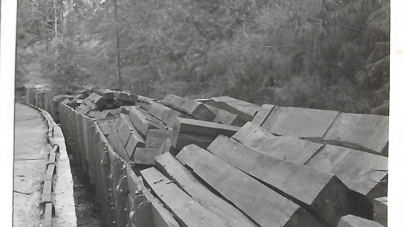 Usina de dormentes na Fazenda União