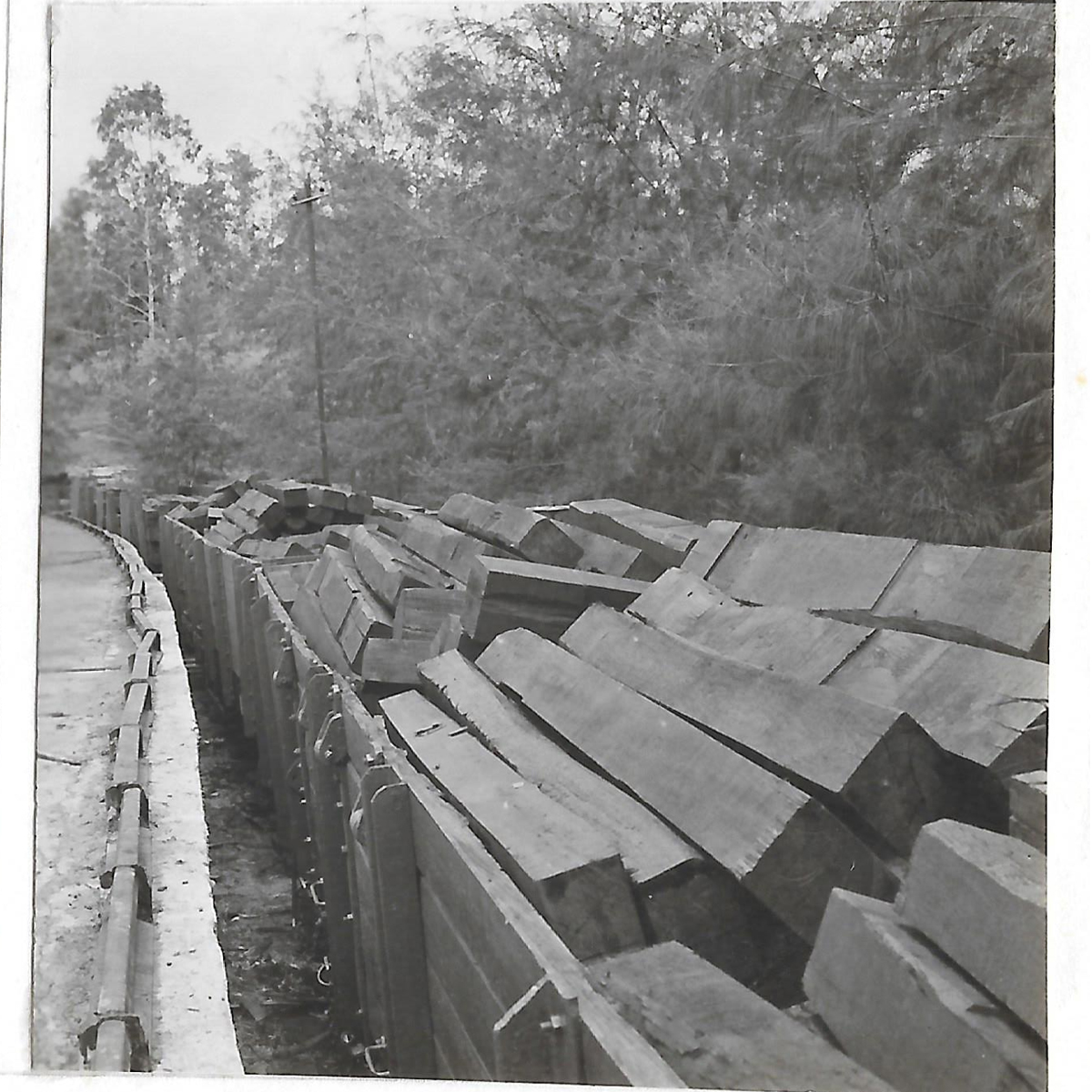 Usina de dormentes na Fazenda União