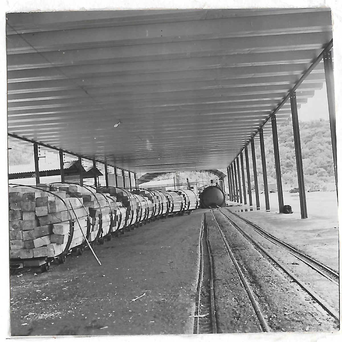 Usina de dormentes na Fazenda União