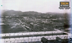 Estação Alfredo Maia (Original)