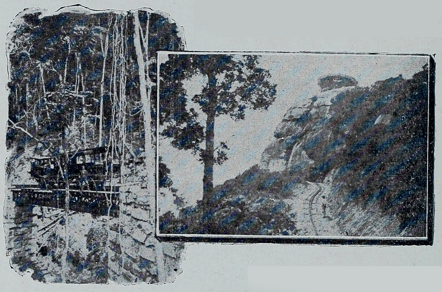 Ponte das Caboclas e Estação Alto Corcovado