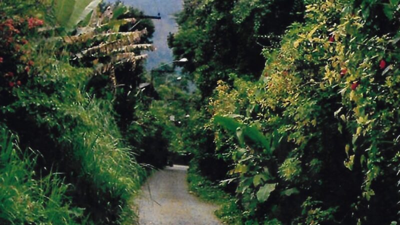 Trecho extinto da Estrada de Ferro Teresópolis