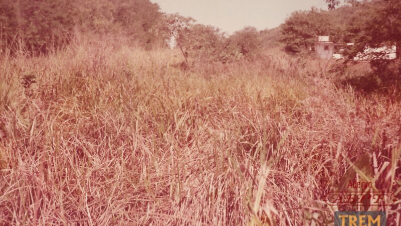 Trecho entre os km 8 e 9 da Estrada de Ferro Mauá (1987)